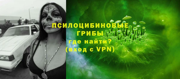 альфа пвп Заводоуковск