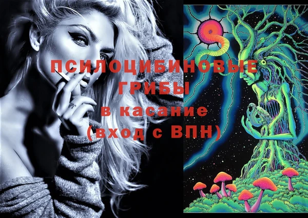 МДПВ Заволжье