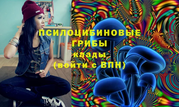 МДПВ Заволжье